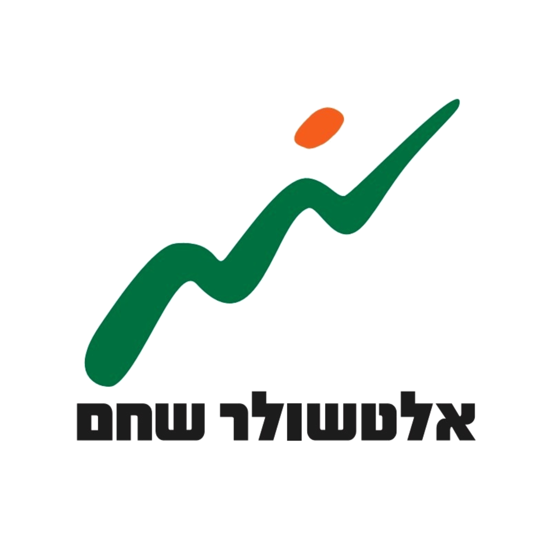 אלטשולר שחם חברת ביטוח