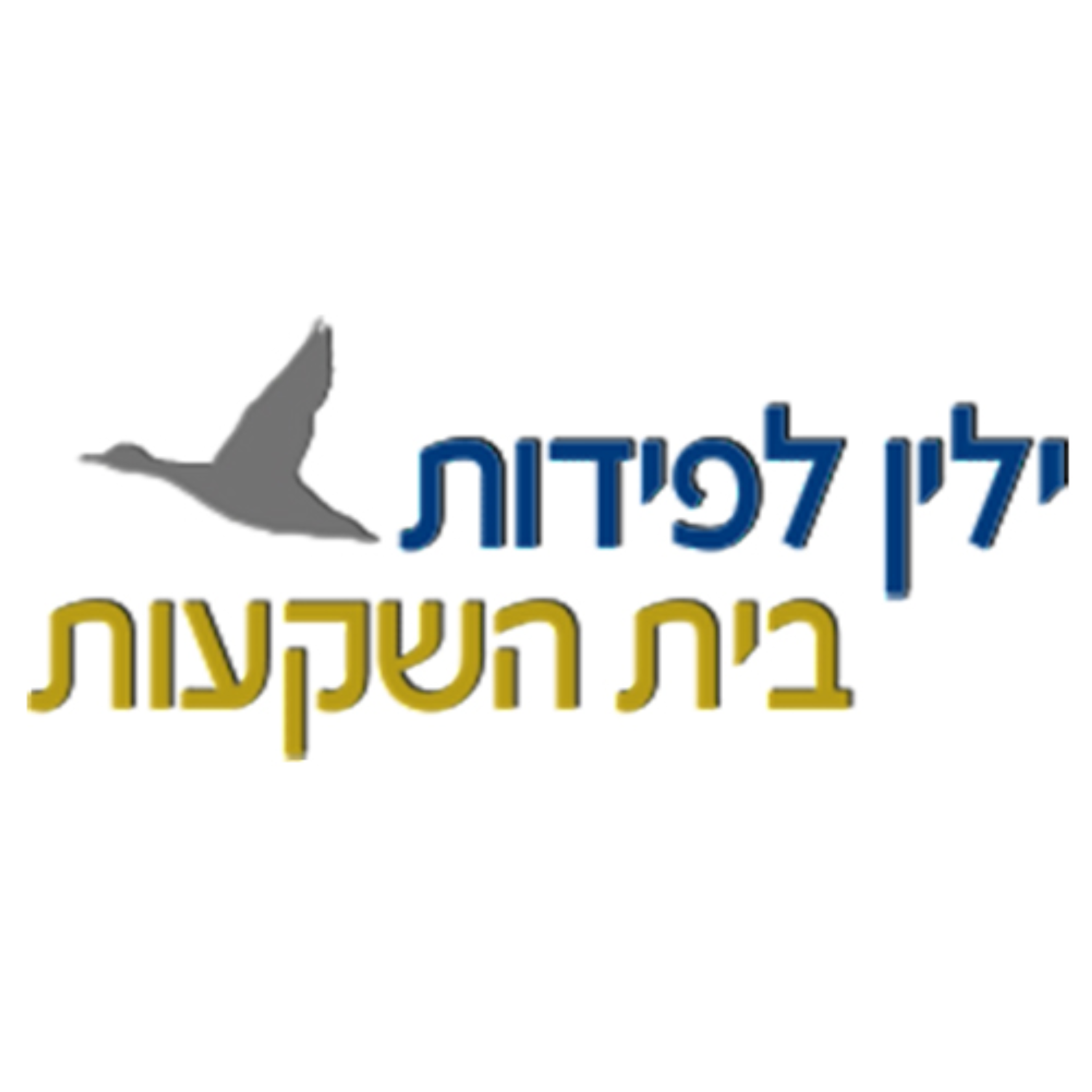ילין לפידות בית השקעות
